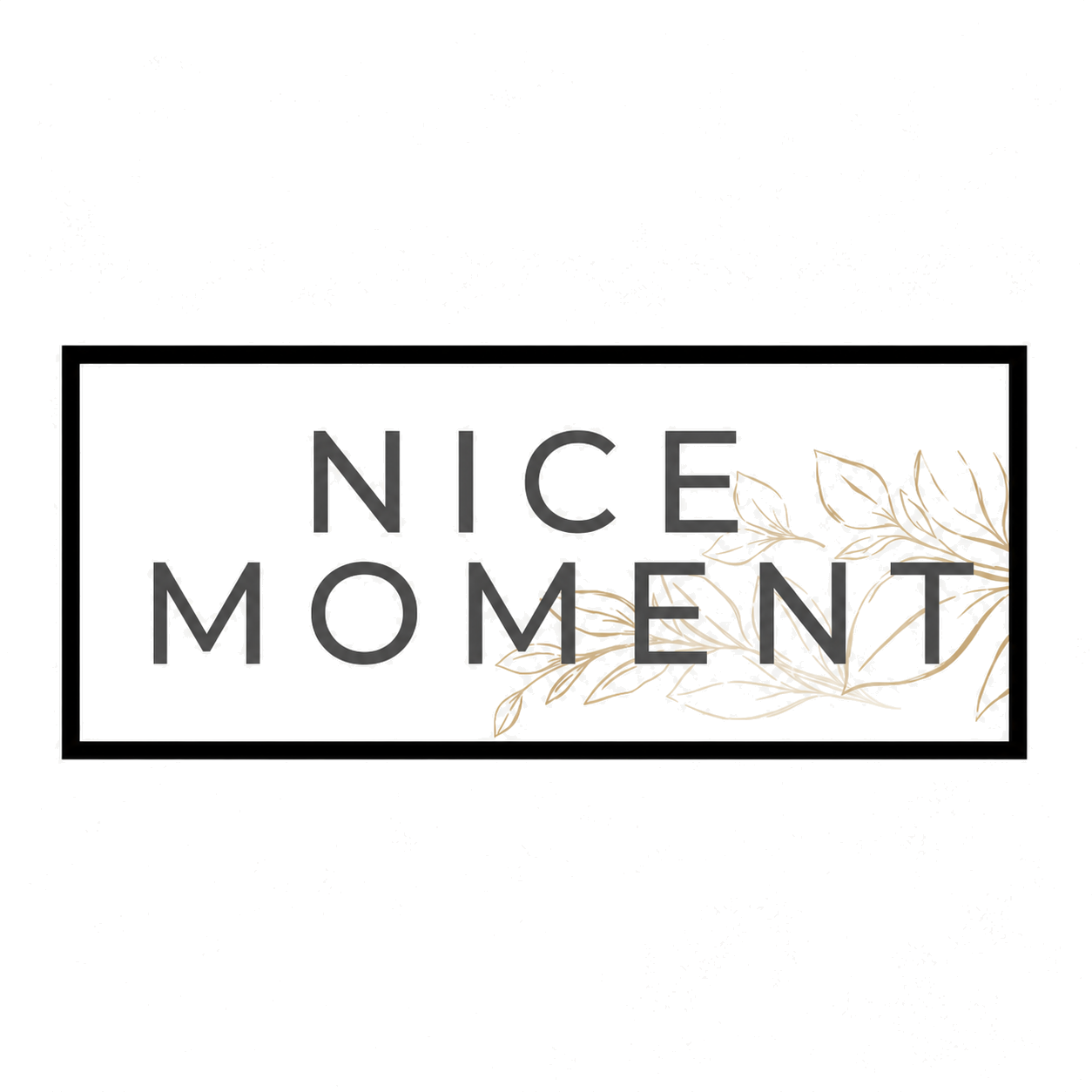 Nice Moment